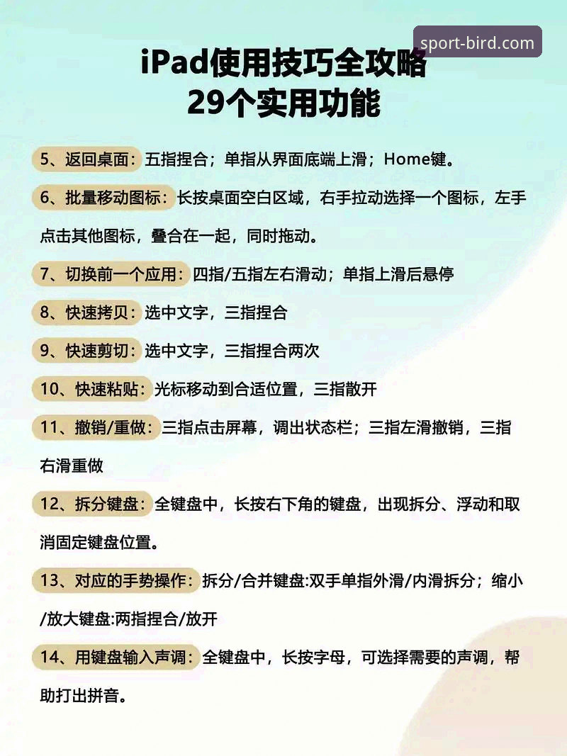 小鸟体育直播软件使用指南：从下载到观赛的完整教程