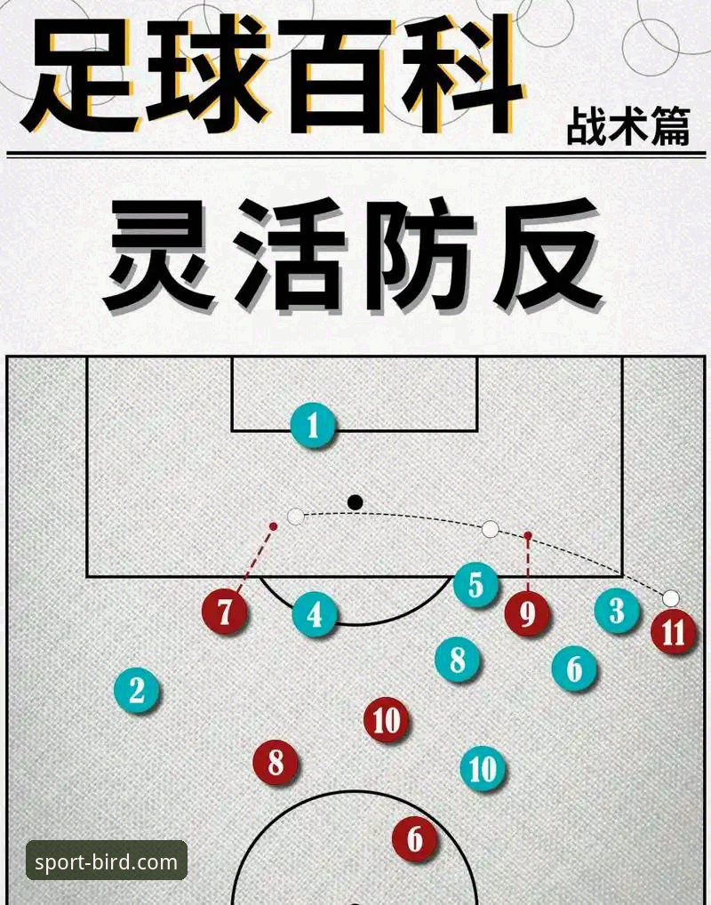 一场3比0引发的战术革命与平台观赛体验详解