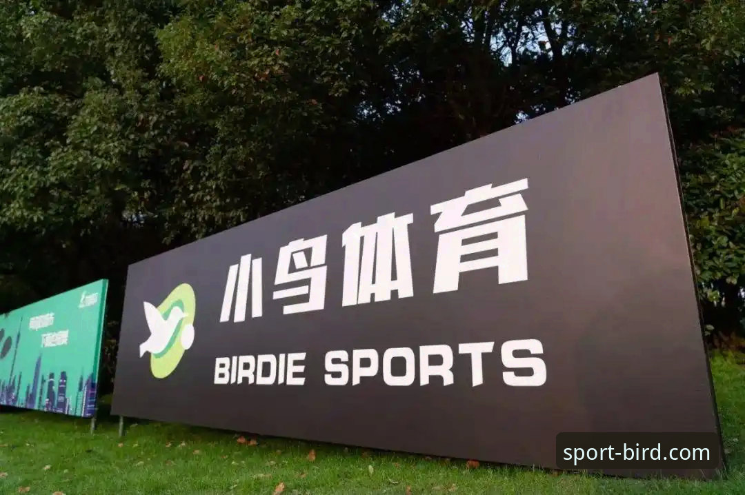 揭秘小鸟体育平台画质真相：清晰度背后的创新突破