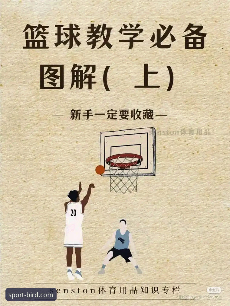 小鸟体育篮球直播操作教程：从注册到高清观看全流程指南