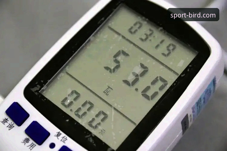 资深用户亲测：小鸟体育平台正规性深度解析与使用心得